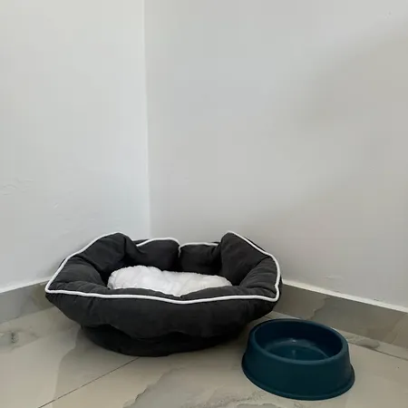3 * Golem (Tirana)