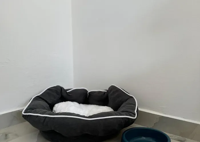 3 * Golem (Tirana)